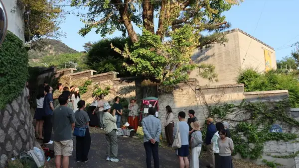 200살 은행나무에 제초제 주입…“환기미술관, 책임지고 복구해야”